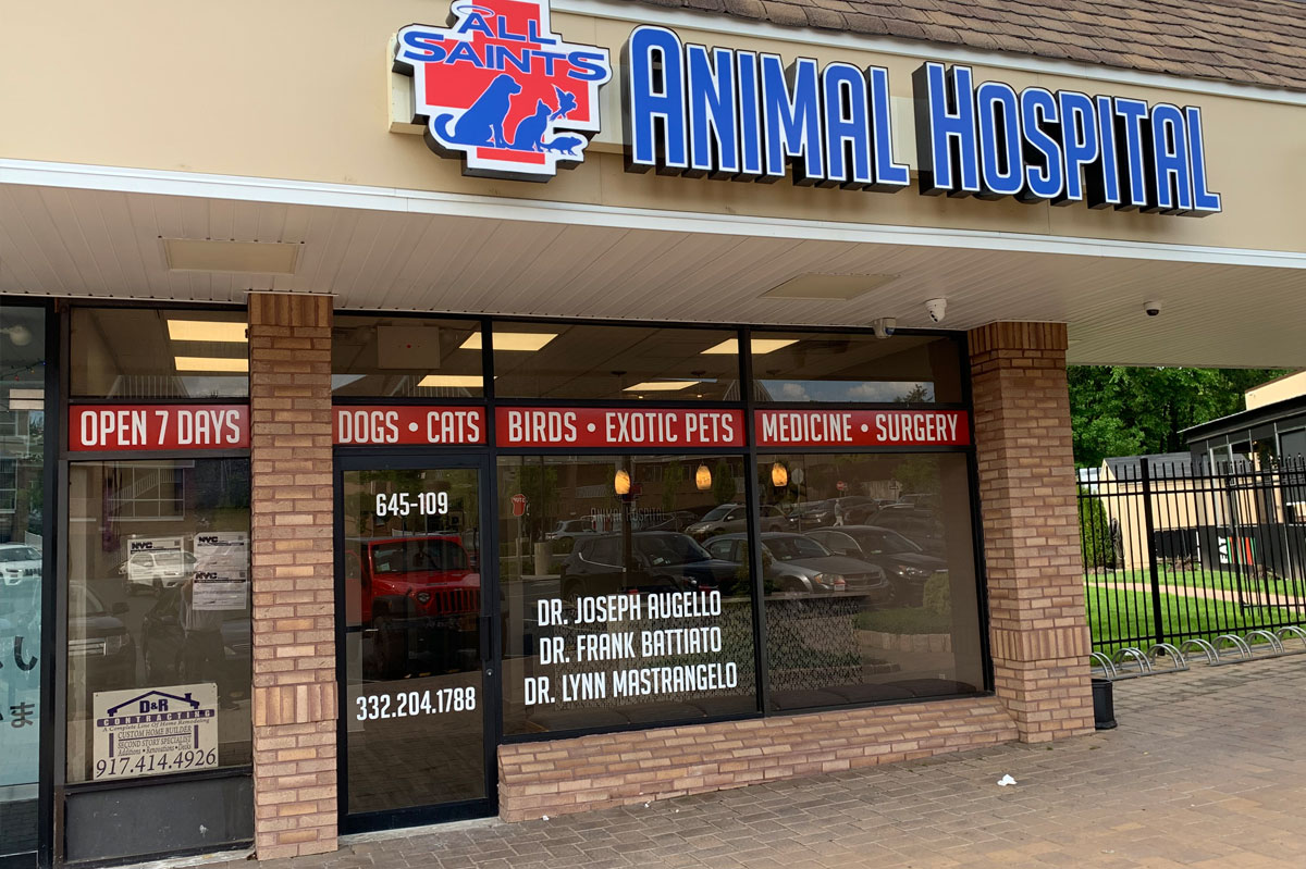 19 allsaints animal hospital store front